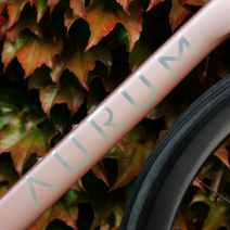 Příspěvek na Instagramu